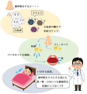 鼻呼吸