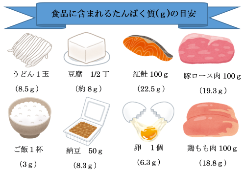 たんぱく質